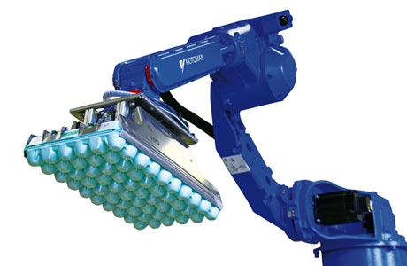 MR10 Automatic Case Packer