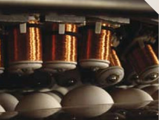 Egg Crack Detection Equipment Placed Above Egg Flow