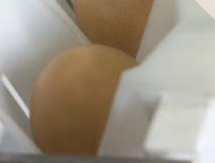 Individual Egg Handling Means Zero Collisions & Breakage